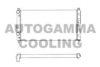AUTOGAMMA 101445 Radiator, engine cooling